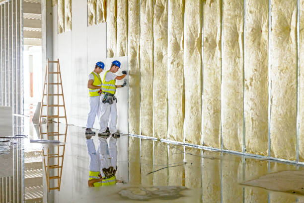 Best Specialized Insulation Services in Granite Bay, CA